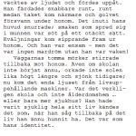 Jarl bild 3